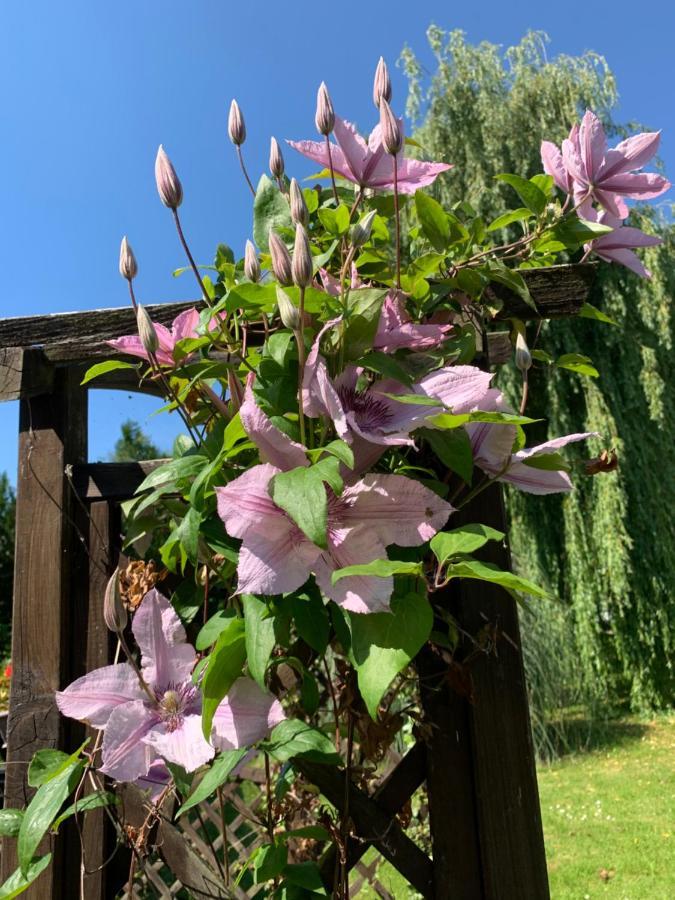 Bed and Breakfast Ker-Loën Val-Couesnon Exterior foto